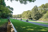 Middle Orange Group 1